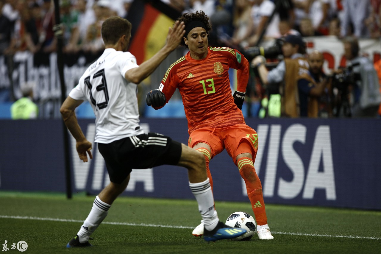 关于上海海港训练开放日，冲刺阶段迎来里程碑引欢呼，欧篮联在即，临场指挥获称赞的信息